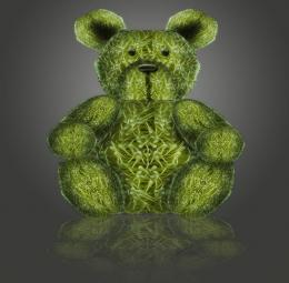 greenteddy